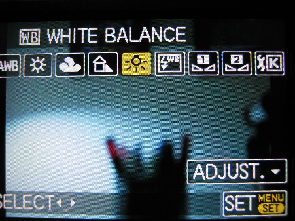 White Balance setting on camera