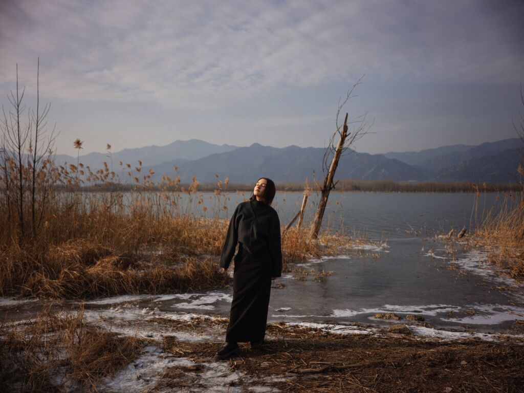Hasselblad 907x Cfv 100c