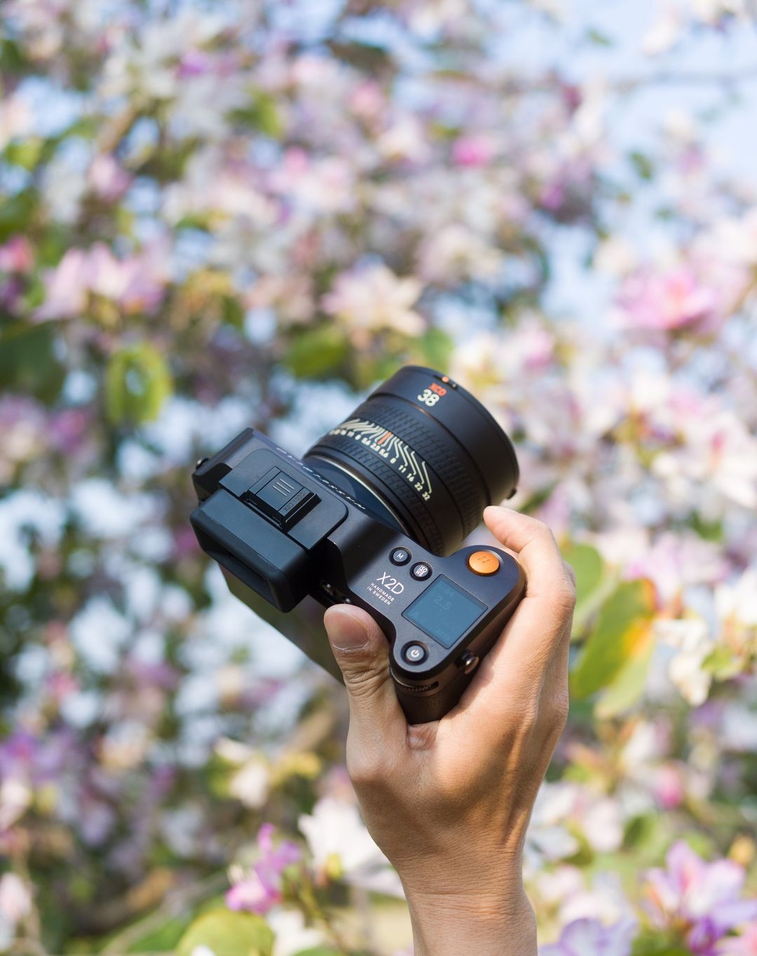 Hasselblad X2d 100c Body