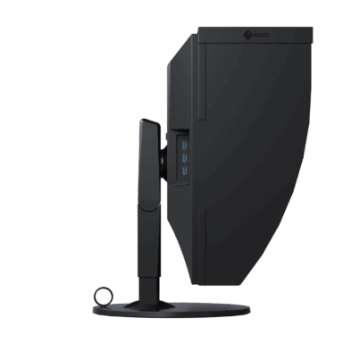 Eizo Coloredge Cg319x 31 Monitor
