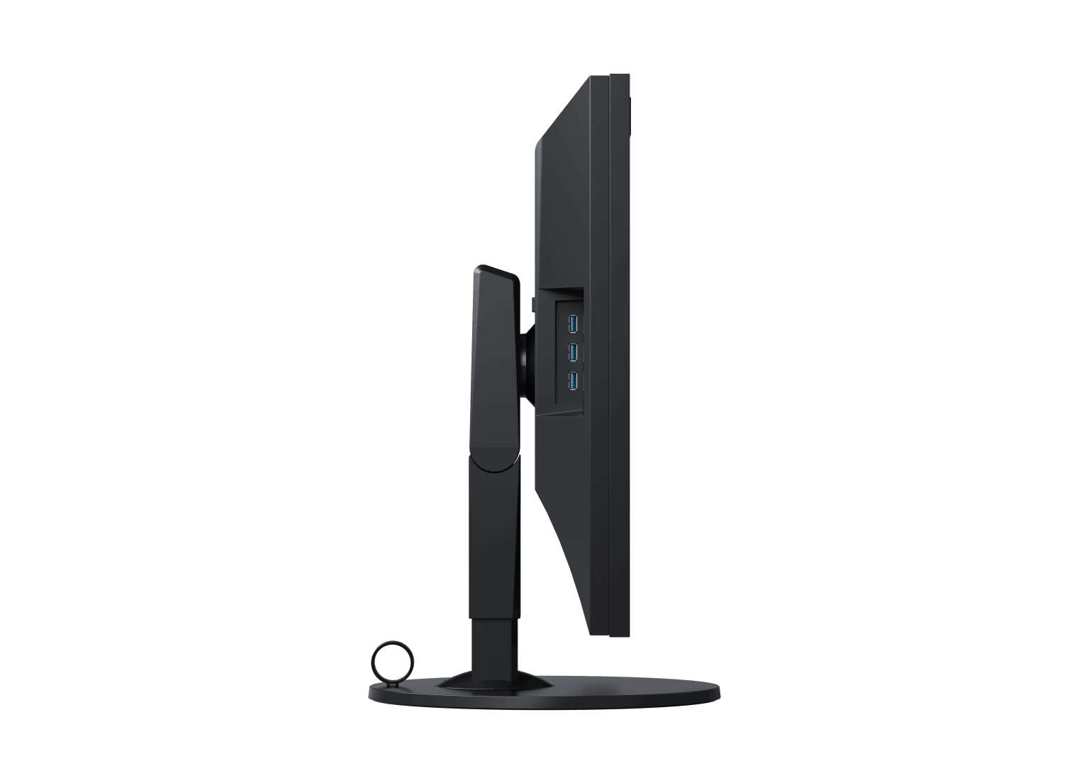 Eizo Coloredge Cg319x 31 Monitor