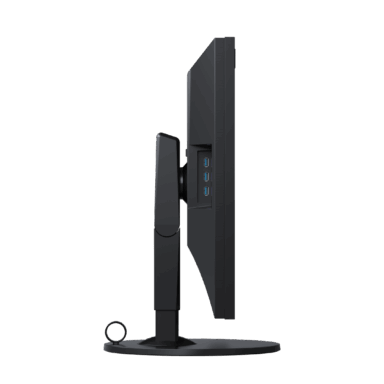 Eizo Coloredge Cg319x 31 Monitor