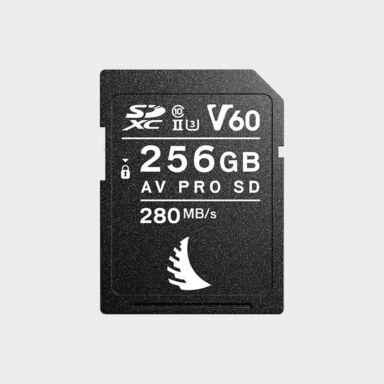 Angelbird 256gb Av Pro V60 Mk2 Uhs Ii Sd Memory Card
