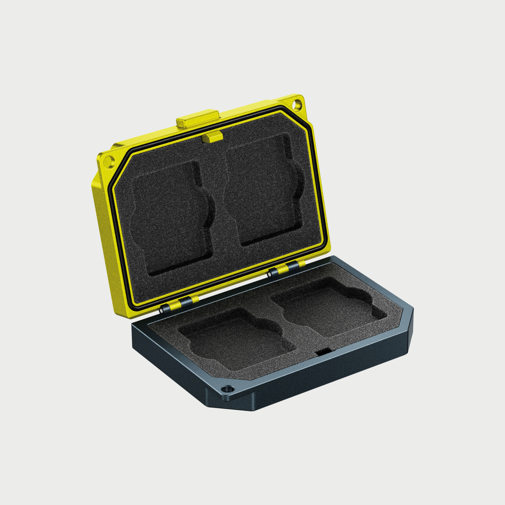 Angelbird Media Tank Case For Cf Express Type B Cards