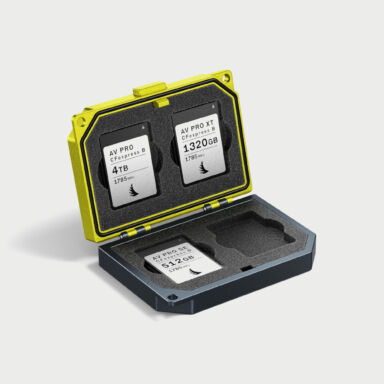 Angelbird Media Tank Case For Cf Express Type B Memory Cards
