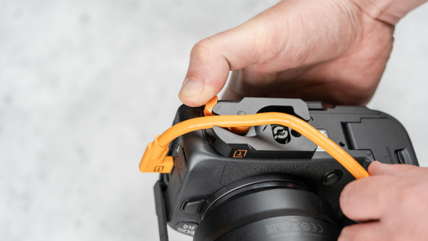 Newsletter pop-up image header