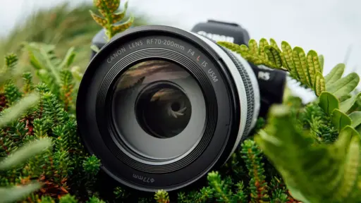 Canon Rf 70 200mm F 4 L Is Usm Lens Canon Rf 70 200mm F 4 L Is Usm Lens