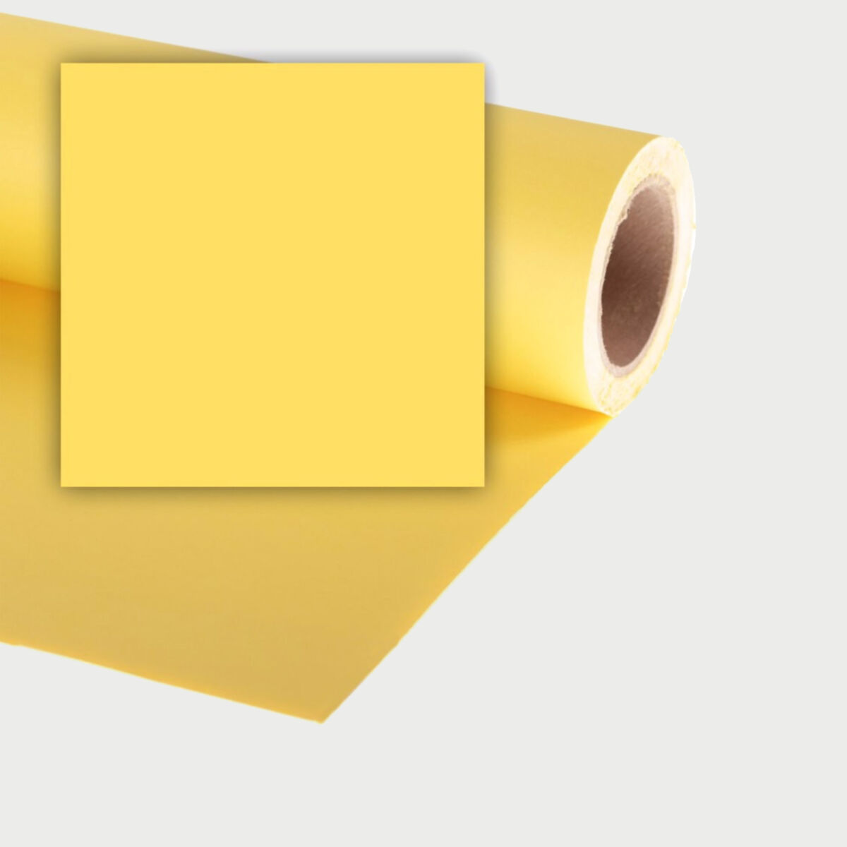 Newsletter pop-up image header