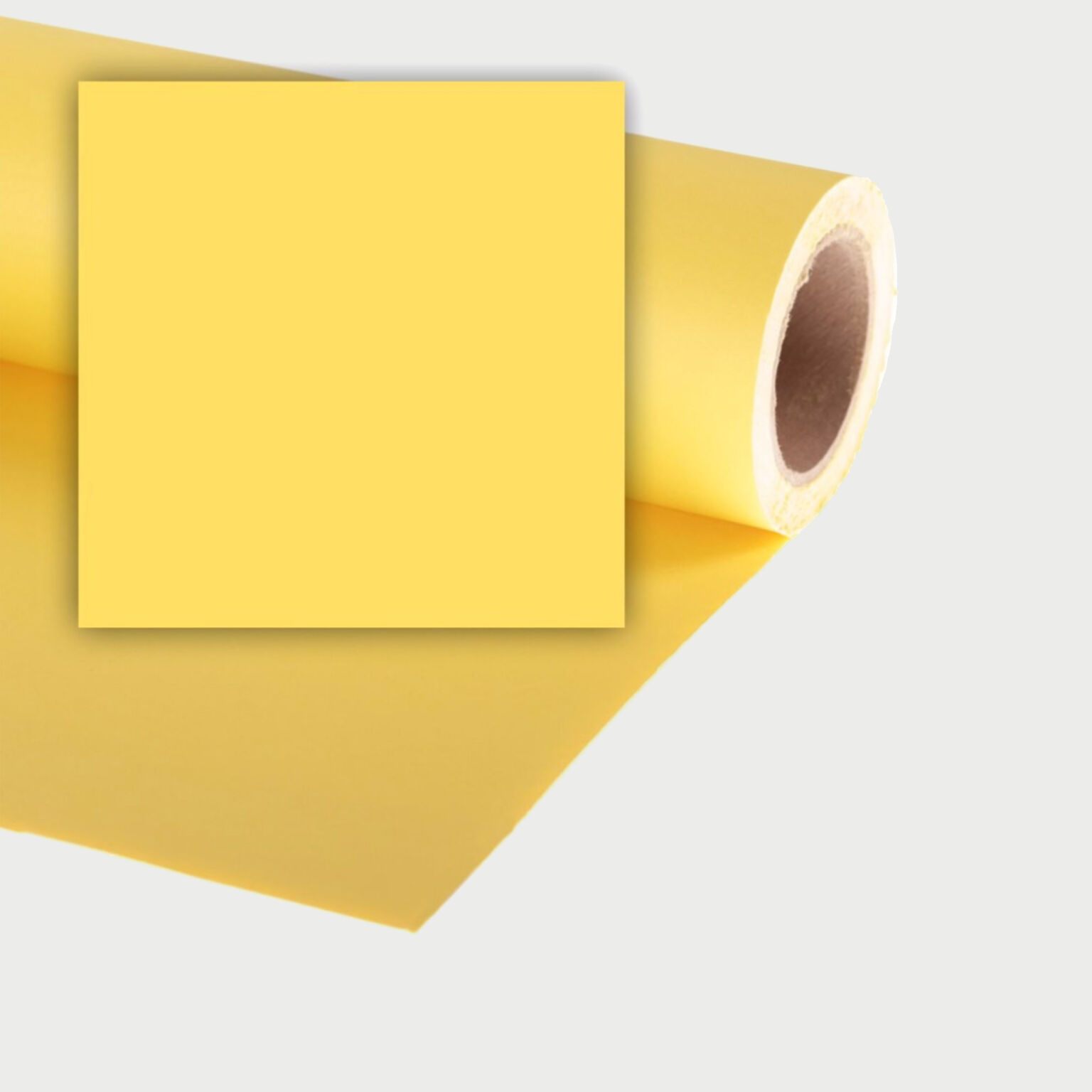 Colorama Dandelion _16 Seamless Paper Background 2 72m X 11m