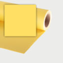 http://Dandelion%20_16%20Seamless%20Paper%20Background%201.35m%20x%2011m
