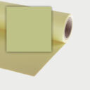 http://Fern%20_12%20Seamless%20Paper%20Background%201.35m%20x%2011m