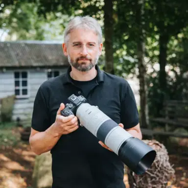 Canon Rf 200 800mm F 6 3 9 Is Usm Lens