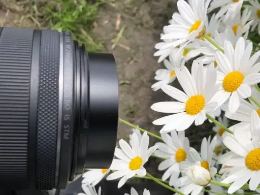 Canon Rf 24mm F 1 8 Macro Is Stm Lens Canon Rf 24mm F 1 8 Macro Is Stm Lens