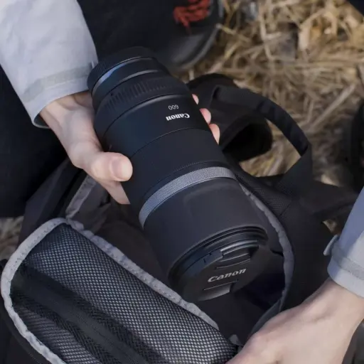 Canon Rf 600mm F 11 Is Stm Lens Canon Rf 600mm F 11 Is Stm Lens