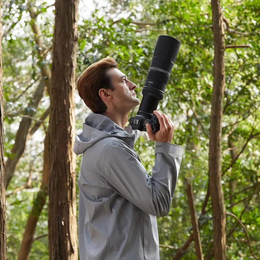 Canon Rf 800mm F 11 Is Stm Lens