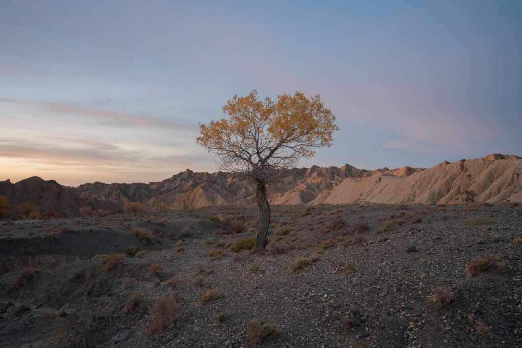 Review Xcd 3 2 4 5 20 35e Hasselblads Ultra Wide Angle Zoom Lens