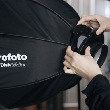 Profoto Beauty Dish Silver