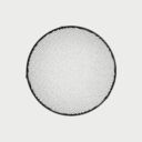 Profoto Grid 10 337mm