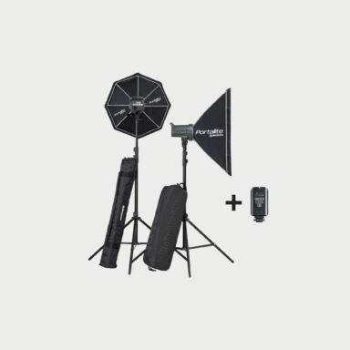 Elinchrom D Lite Rx 4 Dual Monolight Kit