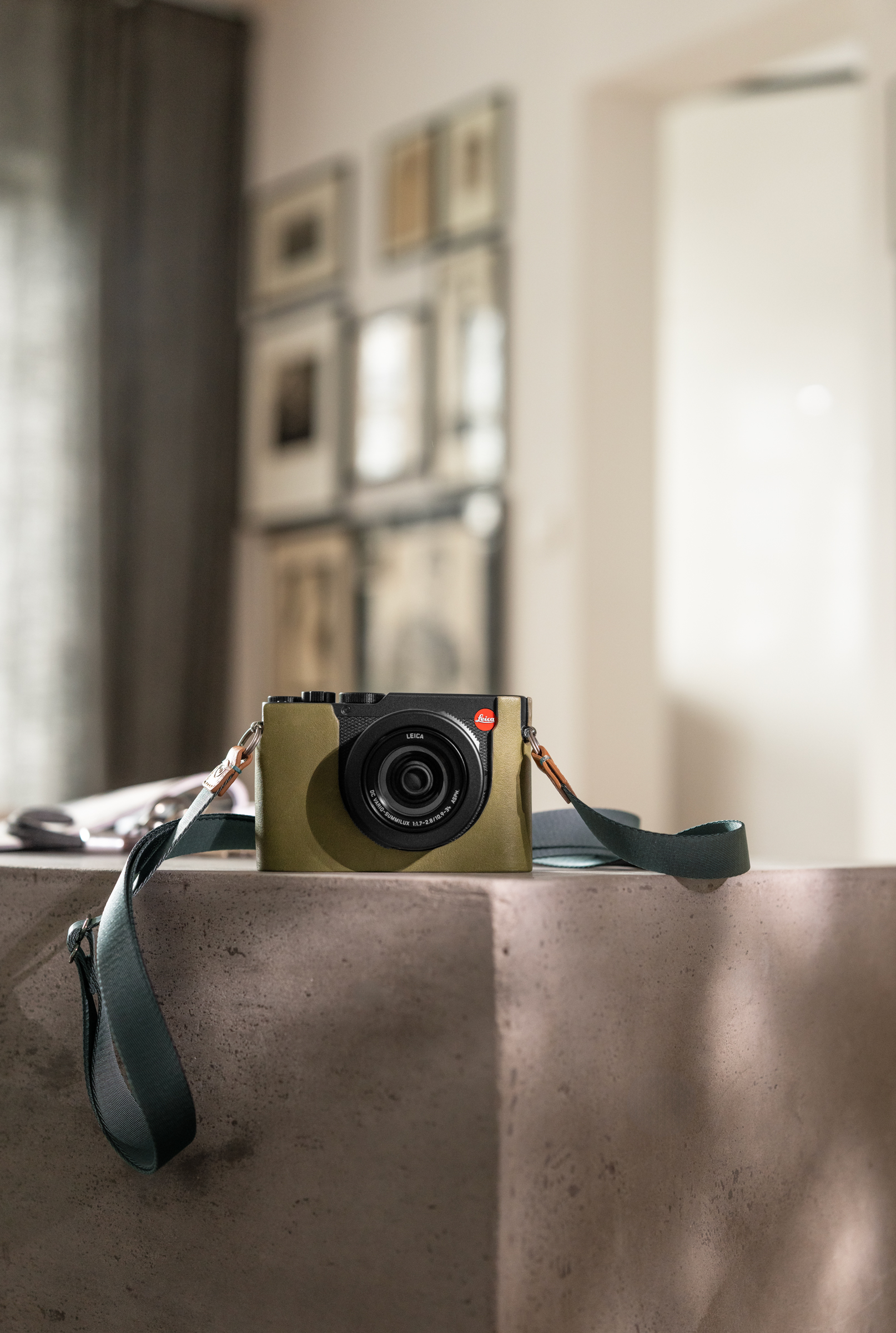 Leica Halfcase D Lux 8 Olive Green Leather