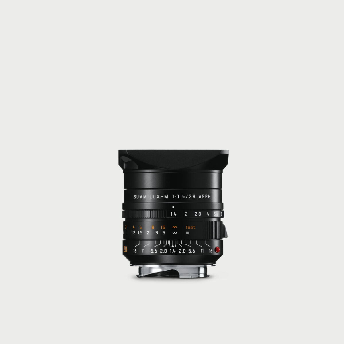 Newsletter pop-up image header