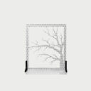 Shadow Board Tree Branches