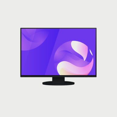 Eizo Flexscan Ev2495 24 Monitor Black