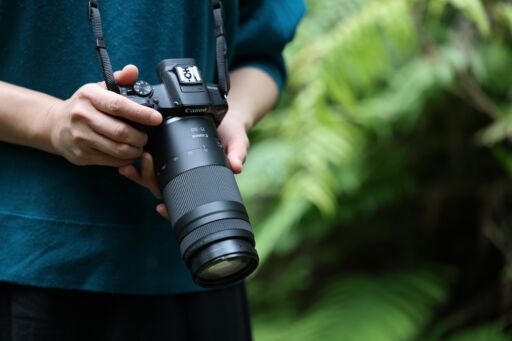Canon Rf 75 300mm F 4 5 6 Canon Rf 75 300mm F 4 5 6
