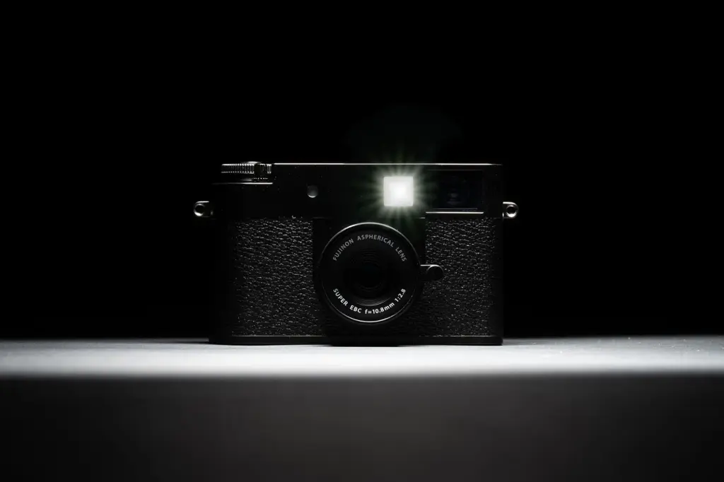 Fujifilm X X Half Body Black