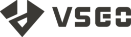 VSGO Logo